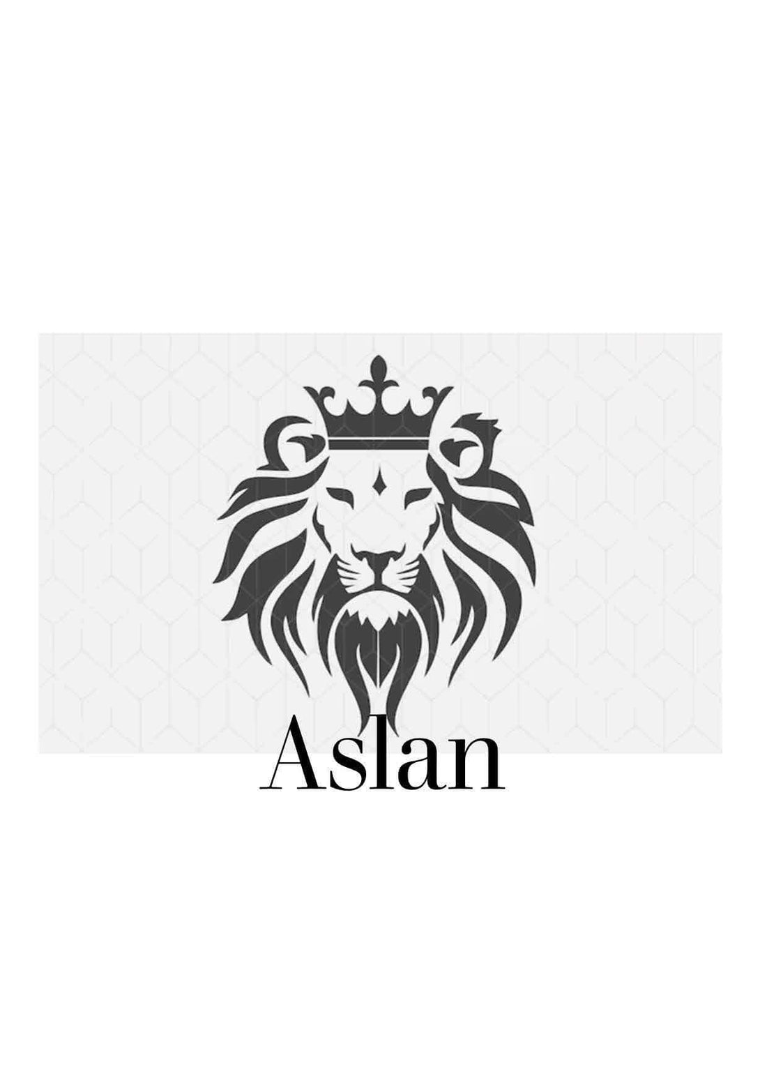 Copyright for Aslan Sports Store