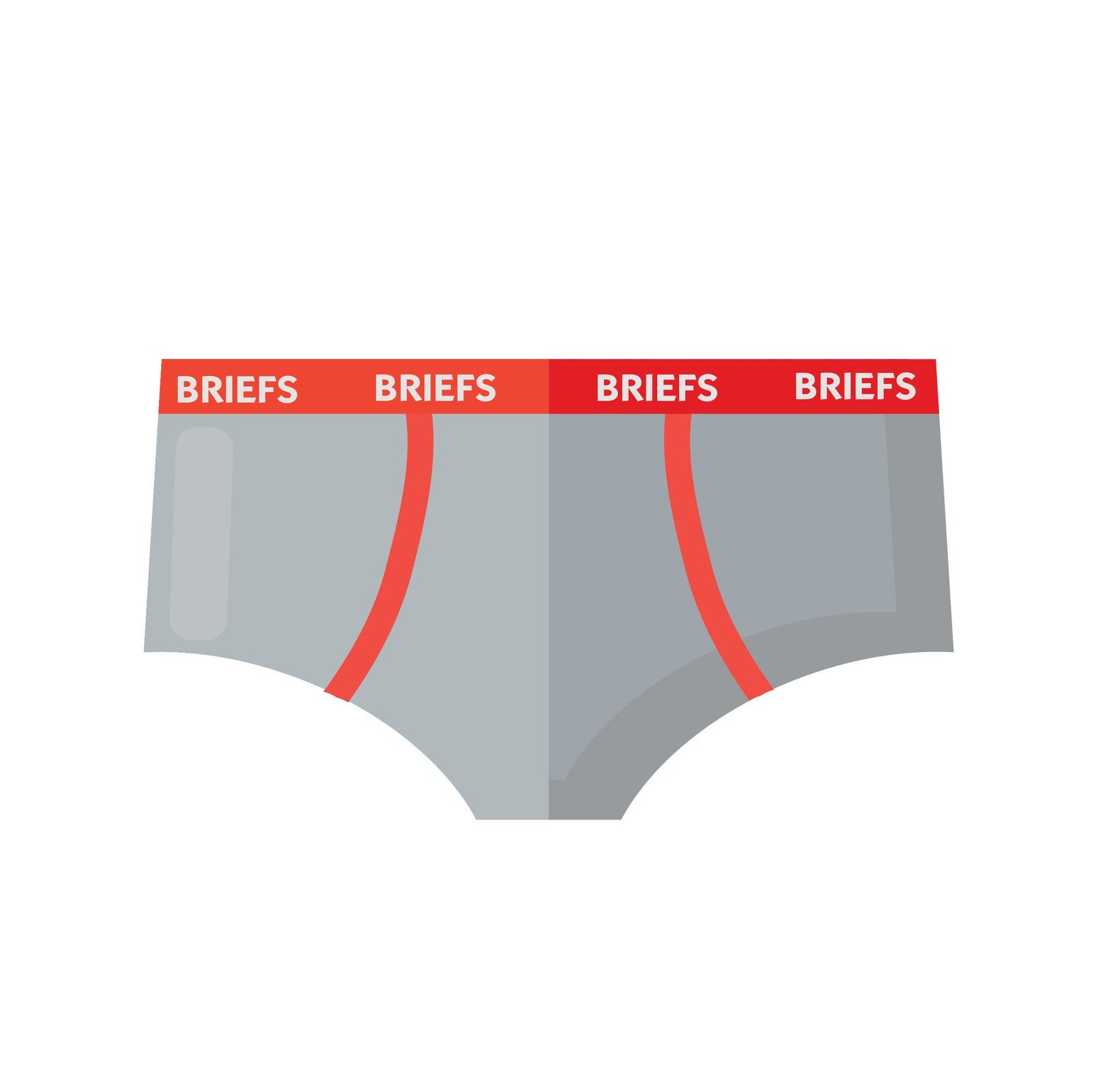 Briefs
