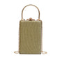 Vintage Special Material Ladies Dinner Bag