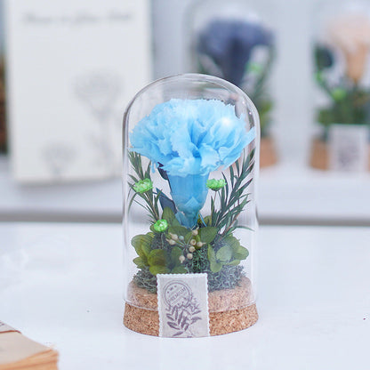 Mother's Day Gift Carnation Wishing Bottle Dandelion Preserved Fresh Flower Material Package
