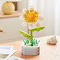 Flowers Preserved Fresh Flower Roses Valentine's Day Gift