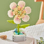 Flowers Preserved Fresh Flower Roses Valentine's Day Gift