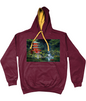ASLAN Hoodie two tone-Grey Various Colours and Sizes