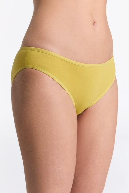 Organic Cotton Classic Briefs: Womens