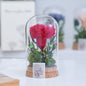 Mother's Day Gift Carnation Wishing Bottle Dandelion Preserved Fresh Flower Material Package