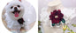 Pet Variety Saliva Towel Cats Dogs Lace Bib Scarf Bell Collar Bow Knot