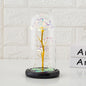 Immortal flower glass cover rose glass cover Valentine's Day gift Christmas gift gold foil flower creative ornament
