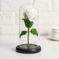 Immortal flower glass cover rose glass cover Valentine's Day gift Christmas gift gold foil flower creative ornament