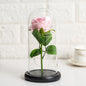 Immortal flower glass cover rose glass cover Valentine's Day gift Christmas gift gold foil flower creative ornament