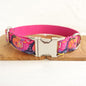 Can Be Engraved Dog Collar Alloy Buckle High Quality Traction Collar