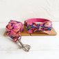 Can Be Engraved Dog Collar Alloy Buckle High Quality Traction Collar