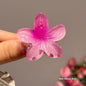 High Sense Plumeria Rubra Seaside Holiday Barrettes