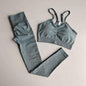 2 Piece gym Workout Clothes For Women Seamless Leggings Sports Bra Woman Running Sports Wear Gym Clothing Athletic Yoga Set