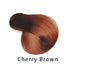 Permanent Hair Coloring Shampoo Women
