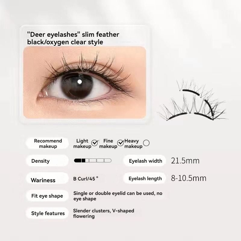 Magnetic Eyelashes
