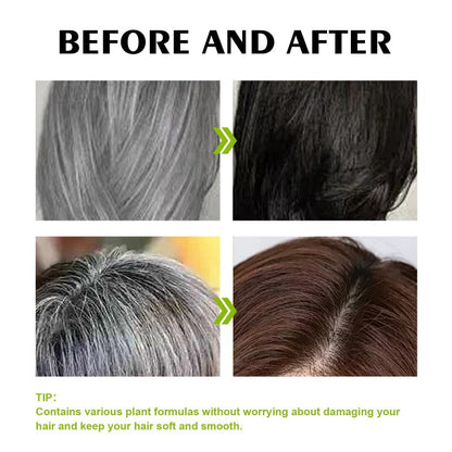 Hair Dye Shampoo