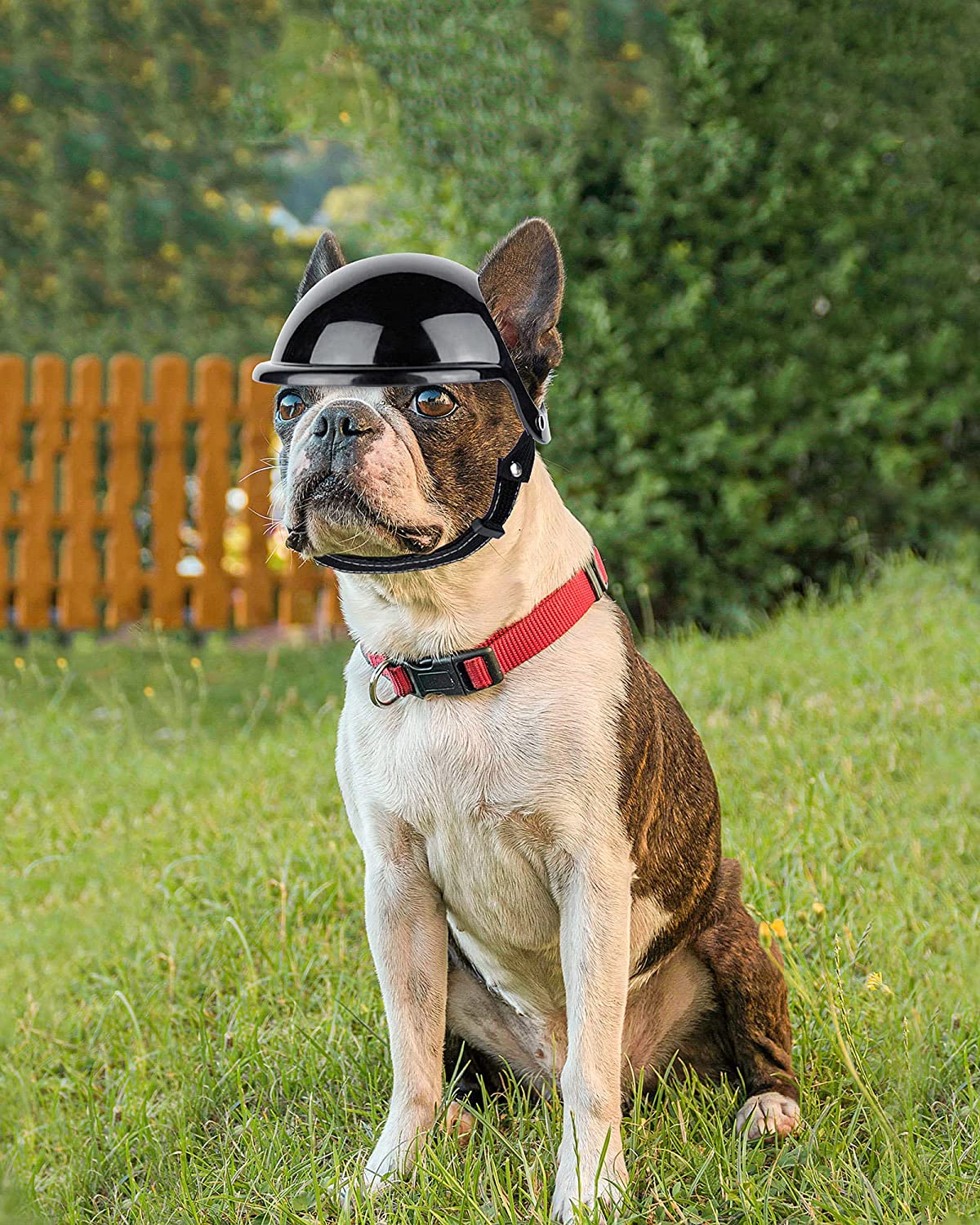 Pet Dog Motorcycle Out Decoration Helmet