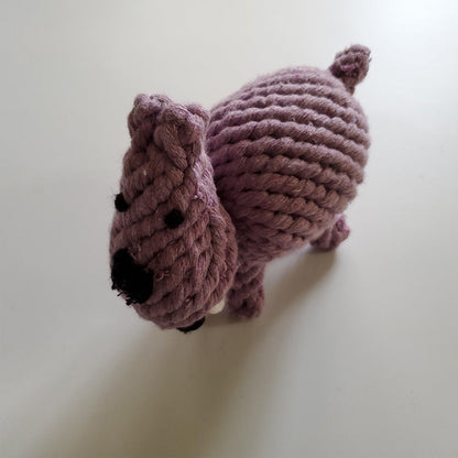 Pet molar toy