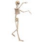 Halloween Skull Fish Skeleton Hanger 80cm - Realistic Spooky Decoration