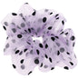 Dot rubber band large intestine ring