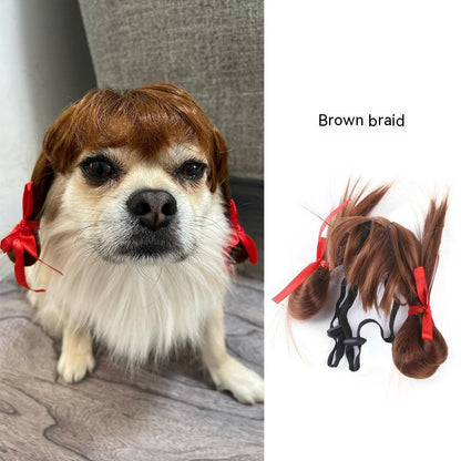 Pet Wig Afro Bangs Cat