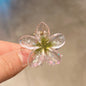 High Sense Plumeria Rubra Seaside Holiday Barrettes