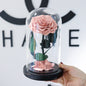 Glass Cover Tanabata Valentine's Day Immortal Rose Gift