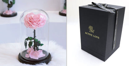Glass Cover Tanabata Valentine's Day Immortal Rose Gift