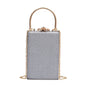 Vintage Special Material Ladies Dinner Bag