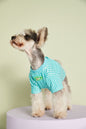 Summer Thin Candy Color Plaid T-Shirt Teddy