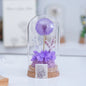 Mother's Day Gift Carnation Wishing Bottle Dandelion Preserved Fresh Flower Material Package