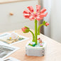 Flowers Preserved Fresh Flower Roses Valentine's Day Gift