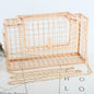 Metal hollow shoulder bag European and American fashion clutch iron mesh chain messenger dinner bag