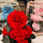 Round Valentine's Day Gift Acrylic Secret Garden Red Rose Everlasting Flower