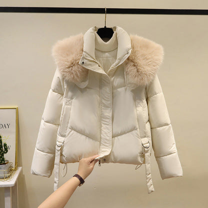 Women's Short Cotton-padded Jacket, Versatile And Fashionable, Stand-up Collar, Thick And Warm Loose Style