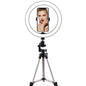 26cm LED Ring Light with Tripod Stand & Phone Clip - Professional Studio Lighting for Photography, Video & Live Streaming