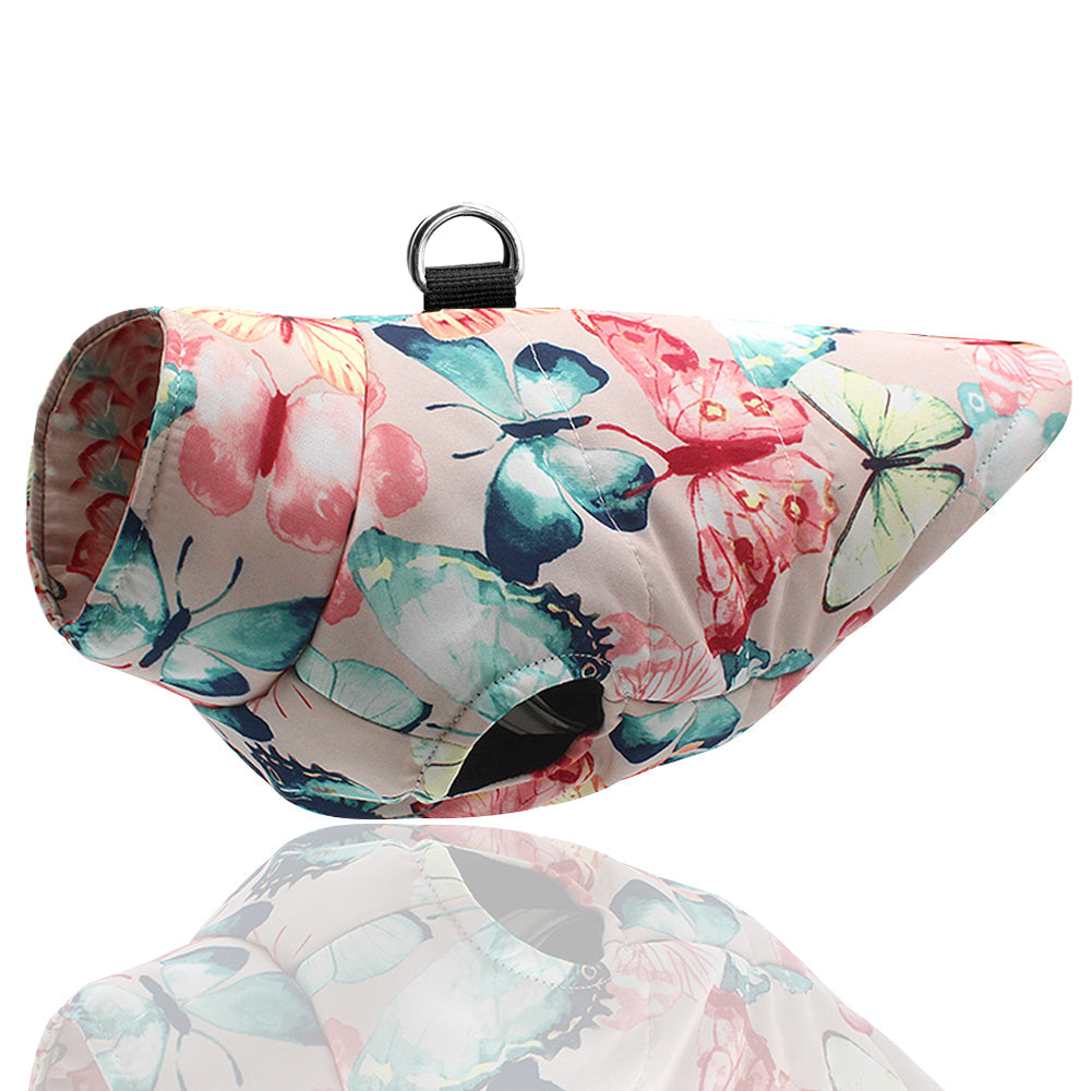 Teddy Farrow pet dog cotton clothes