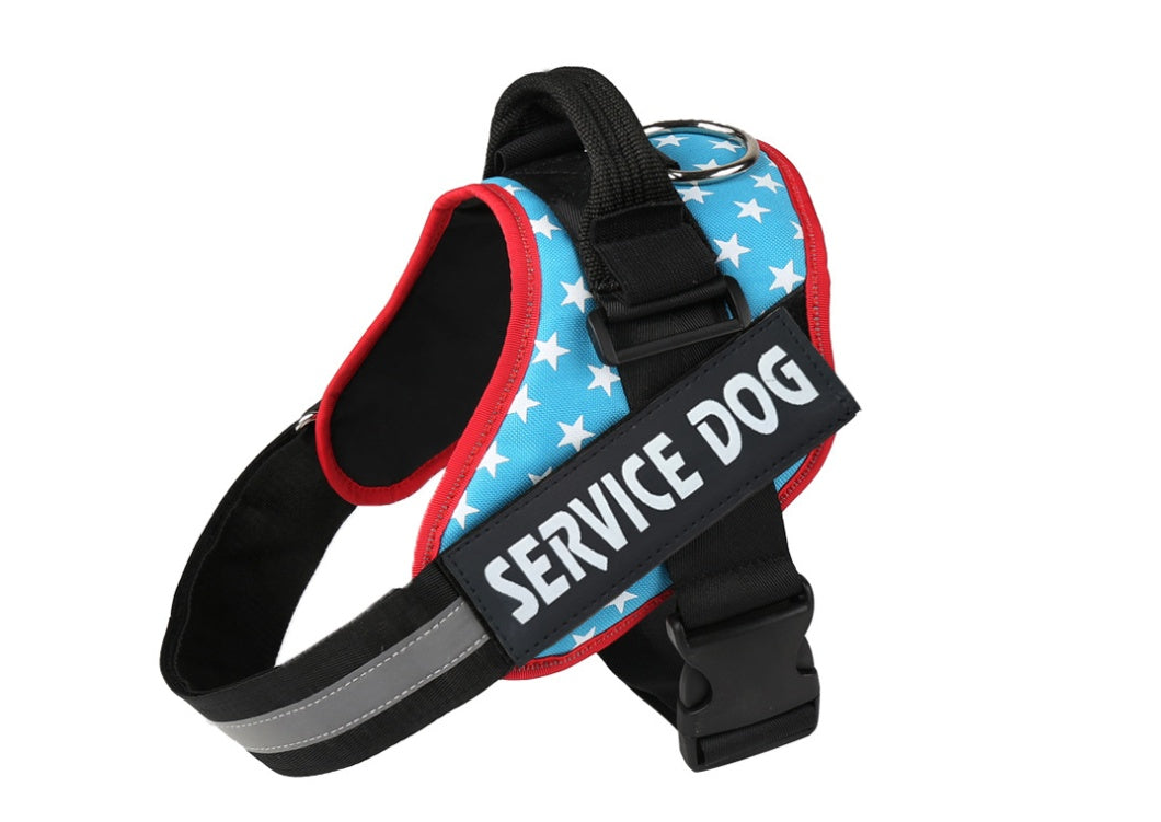 Pet chest strap with dog leash
