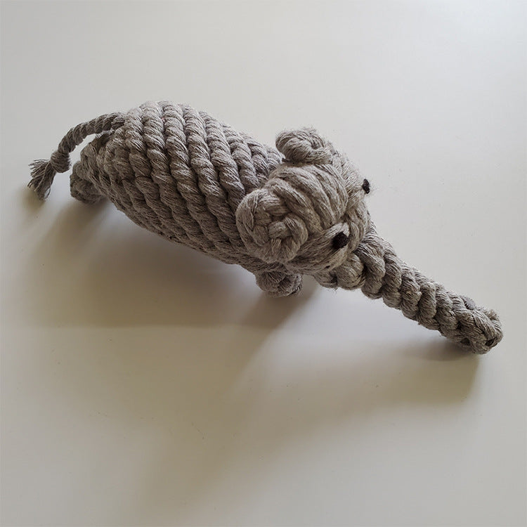 Pet molar toy