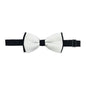 Double Coloured Bow Tie (2 styles)
