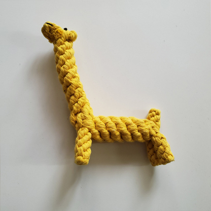 Pet molar toy