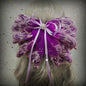 Japanese Soft Girl Lolita Sweet Bow Hairpin Ponytail Hairpin Female Top Clip Headdress