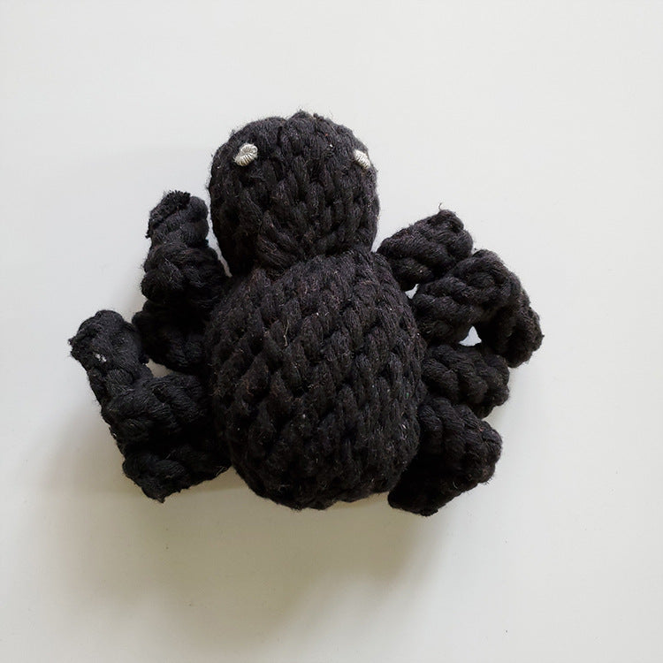 Pet molar toy