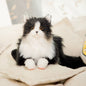 Simulation Cat Doll Children's Plush Toys Children's Day Birthday Girl Gift Doll