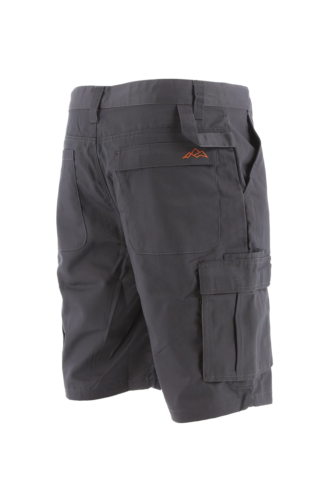 North Peak Axis Cargo Short