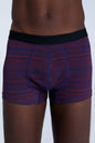 Organic Cotton Trunks: Mens