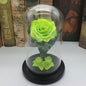 Glass Cover Tanabata Valentine's Day Immortal Rose Gift