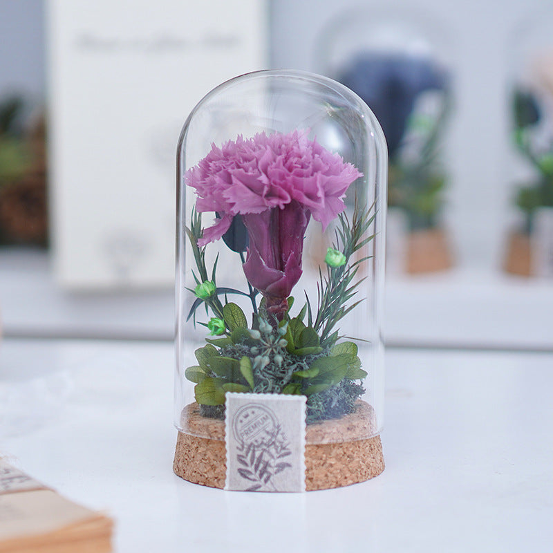 Mother's Day Gift Carnation Wishing Bottle Dandelion Preserved Fresh Flower Material Package