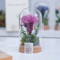 Mother's Day Gift Carnation Wishing Bottle Dandelion Preserved Fresh Flower Material Package