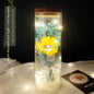 New Teacher's Day Gift Sunflower Bouquet Dried Flowers